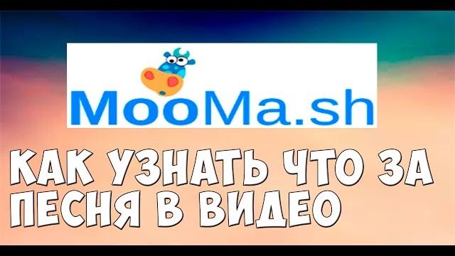 Как узнать что за музыка играет в видео Как узнать что за музыка играет в видео