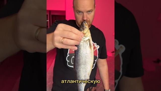 Как и из чего делают икру для суши и роллов Масаго??! Как и из чего делают икру для суши и роллов Масаго??!