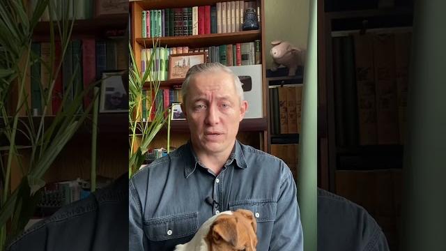 Станет ли габапентин учётным? Станет ли габапентин учётным?