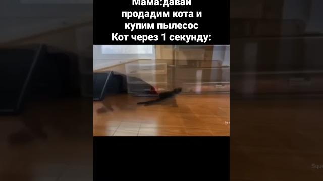 мем #кот #мем #пылесос мем #кот #мем #пылесос