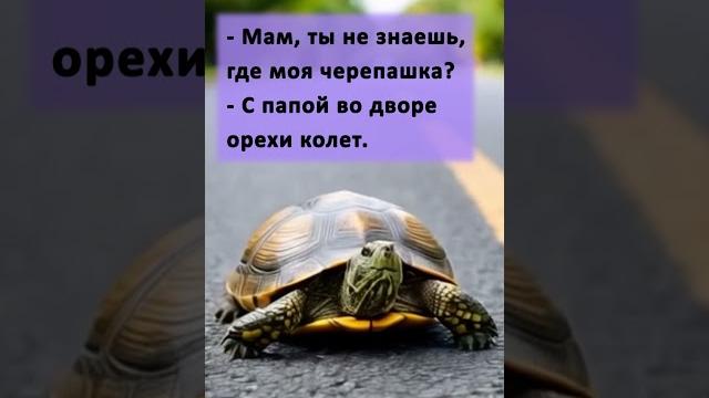 Второе назначение черепашки #shorts #анекдоты #смех #юмор #короткиеанекдоты #анекдоты2025 Второе назначение черепашки #shorts #анекдоты #смех #юмор #короткиеанекдоты #анекдоты2025