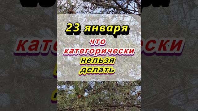 23 января народный праздник Григорьев день. Что категорически нельзя делать. Народные приметы 23 января народный праздник Григорьев день. Что категорически нельзя делать. Народные приметы