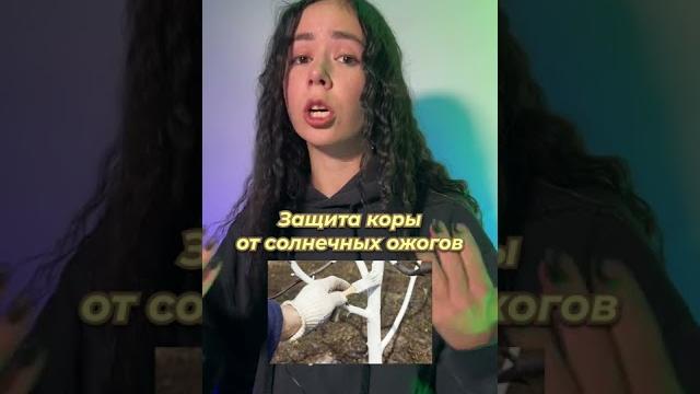 Для чего красят ДЕРЕВЬЯ #егэ #биология #shorts Для чего красят ДЕРЕВЬЯ #егэ #биология #shorts