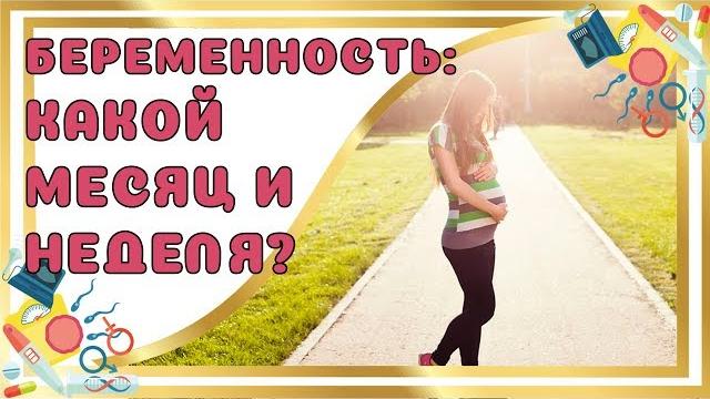 Какая Неделя и Месяц беременности? Какая Неделя и Месяц беременности?