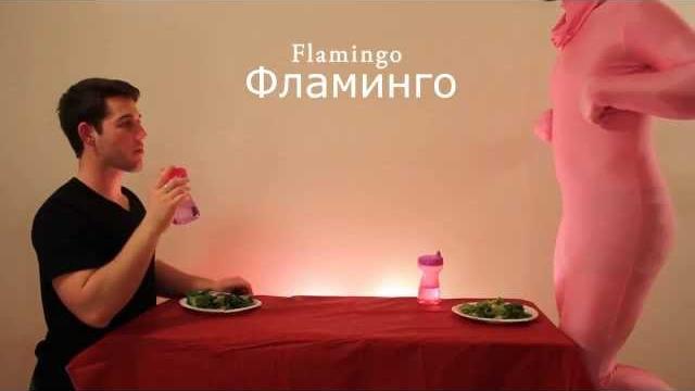 Как едят животные(ПРИКОЛ!!!) Как едят животные(ПРИКОЛ!!!)