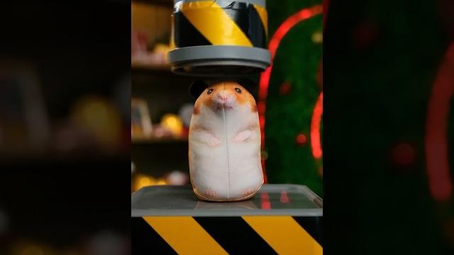 Хомяк в наборе с мармеладками? #коллабагода Хомяк в наборе с мармеладками? #коллабагода