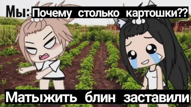 Наркомания из Тик тока Гача лайф ~{Гача клуб}~ Наркомания из Тик тока Гача лайф ~{Гача клуб}~