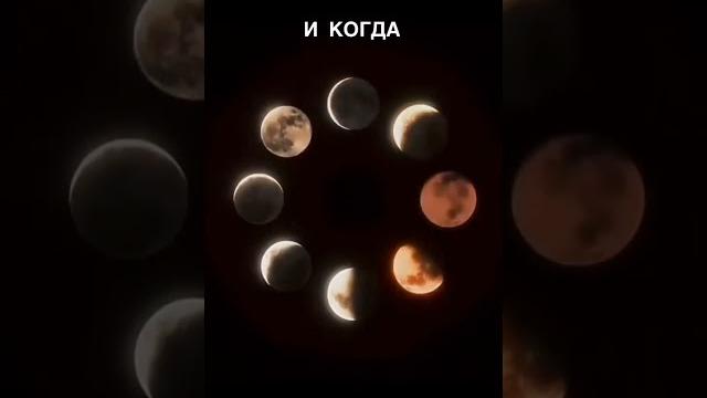 Фазы луны Важно или нет? Фазы луны Важно или нет?