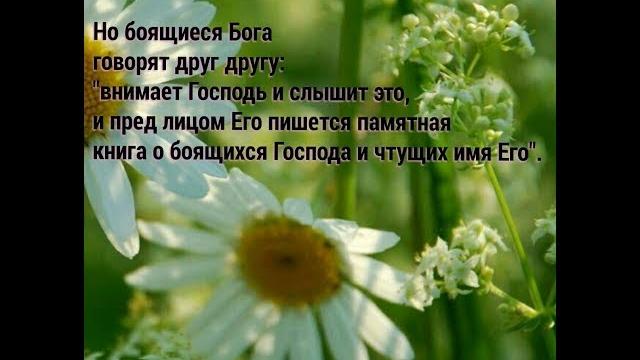 Памятная книга...--- А.И.Орлов Памятная книга...--- А.И.Орлов