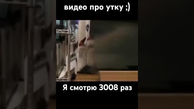 Бесконечное видео про утку ) #утка #рекомендации #funny #shortvideo #shorts #memes #meme #мем Бесконечное видео про утку ) #утка #рекомендации #funny #shortvideo #shorts #memes #meme #мем