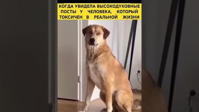 Встречали таких?#токсик #смешное #смешно #блогер #блогеры #инстаграм #смешноевидео #смешныевидео Встречали таких?#токсик #смешное #смешно #блогер #блогеры #инстаграм #смешноевидео #смешныевидео
