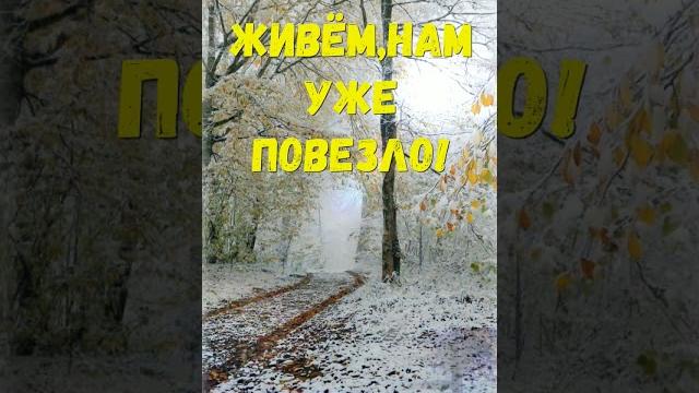 С Добрым Утром! Надо Жить!#shorts С Добрым Утром! Надо Жить!#shorts