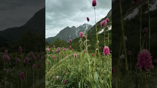 А что у вас видно из окна? А что у вас видно из окна?