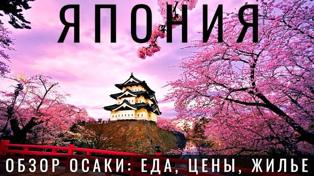 Япония. Первый раз. Ожидание и реальность. Виза, цены, жилье, еда. Осака Путешествие по Японии 2023 Япония. Первый раз. Ожидание и реальность. Виза, цены, жилье, еда. Осака Путешествие по Японии 2023