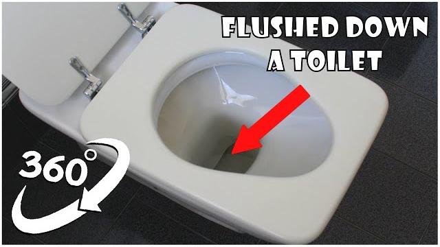 360 Video | Flushed Down A Toilet Version 6 | VR 4K 360 Video | Flushed Down A Toilet Version 6 | VR 4K