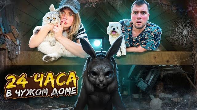24 ЧАСА В ЧУЖОМ ДОМЕ С КОТАМИ | TINY BUNNY ВЕРНУЛСЯ 24 ЧАСА В ЧУЖОМ ДОМЕ С КОТАМИ | TINY BUNNY ВЕРНУЛСЯ
