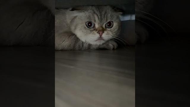 Каждый раз, когда начинается гроза ️ Каждый раз, когда начинается гроза ️