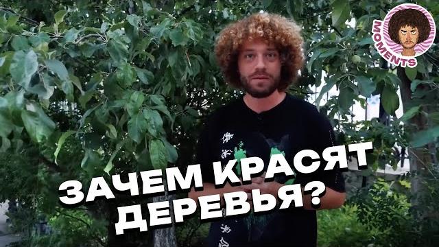 Побелка деревьев: миф или необходимость? | Россия, городская природа и главный садовник Побелка деревьев: миф или необходимость? | Россия, городская природа и главный садовник