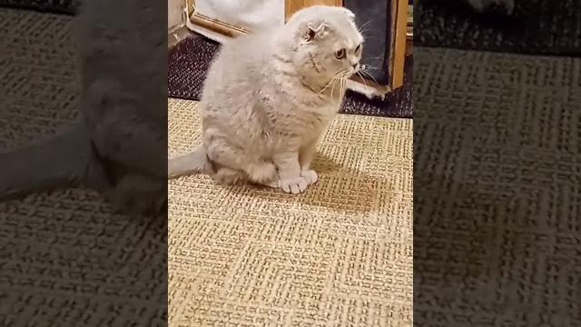 надо куда-нибудь пойти надо куда-нибудь пойти