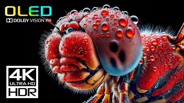 BEST HDR 4K 60fps Video - Dolby Vision (8K / 4K TV) BEST HDR 4K 60fps Video - Dolby Vision (8K / 4K TV)