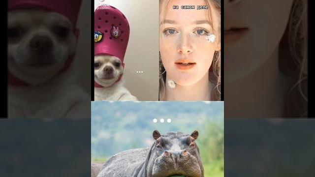 ааа за Донбасс на*уй #shorts ааа за Донбасс на*уй #shorts