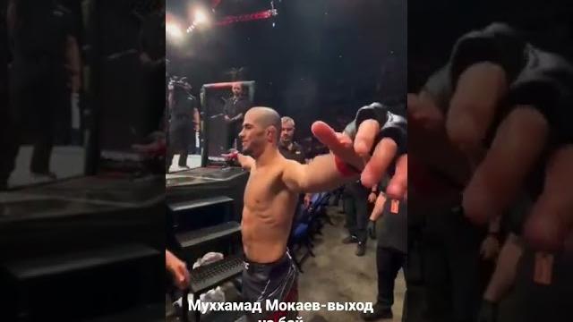 Мухаммад Мокаев-выход на бой Мухаммад Мокаев-выход на бой