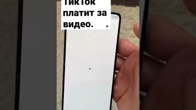 Тикток платит за просмотры! Тикток платит за просмотры!