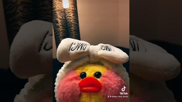 #Lalafanfan уточка лалафанфан распаковка посылки для уточки #лалафанфан #duck настюшик #nastushik #Lalafanfan уточка лалафанфан распаковка посылки для уточки #лалафанфан #duck настюшик #nastushik