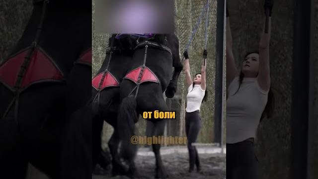 У этой лошади действительно нет глаз У этой лошади действительно нет глаз