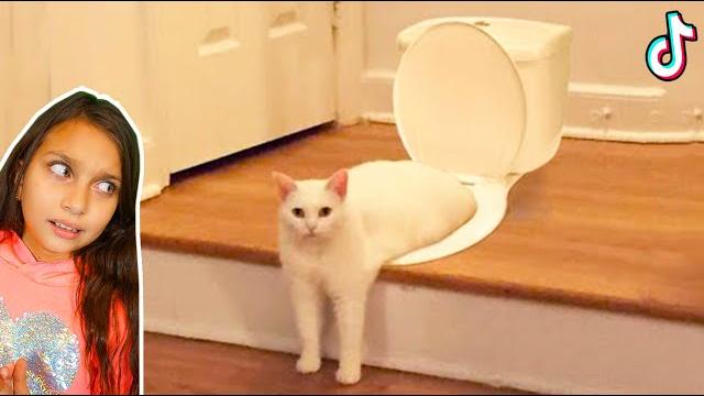 СМЕШНЫЕ КОТЫ СНИМАЮТ ТИКТОК ! Коты и Собаки в ШКОЛЕ! НЕ ЗАСМЕЙСЯ ЧЕЛЛЕНДЖ Funny Cats Валеришка СМЕШНЫЕ КОТЫ СНИМАЮТ ТИКТОК ! Коты и Собаки в ШКОЛЕ! НЕ ЗАСМЕЙСЯ ЧЕЛЛЕНДЖ Funny Cats Валеришка