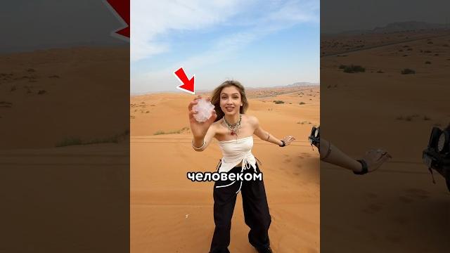 Сыграла В СНЕЖКИ В ПУСТЫНЕ Сыграла В СНЕЖКИ В ПУСТЫНЕ