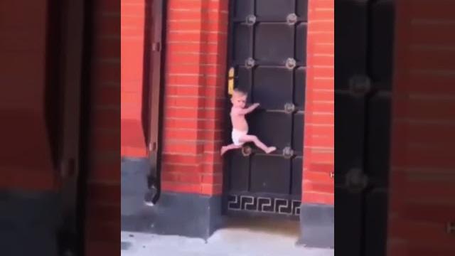 Чеченские приколы Чеченские приколы