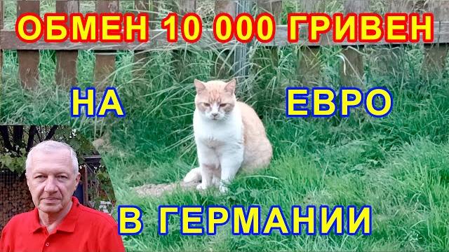 Как реально происходит обмен 10 000 гривен на евро в Германии? Электромобили в мед техники. Как реально происходит обмен 10 000 гривен на евро в Германии? Электромобили в мед техники.
