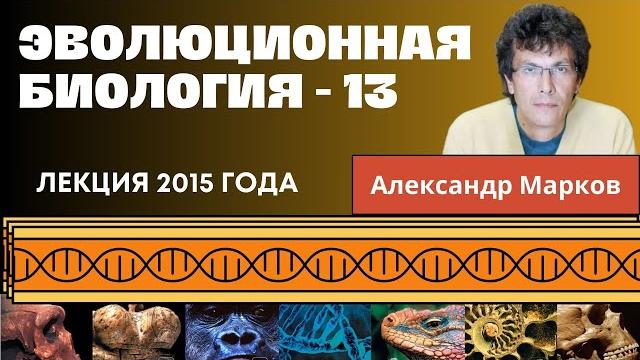 Эволюции альтруизма и кооперации. Эволюционная биология - 13 Эволюции альтруизма и кооперации. Эволюционная биология - 13