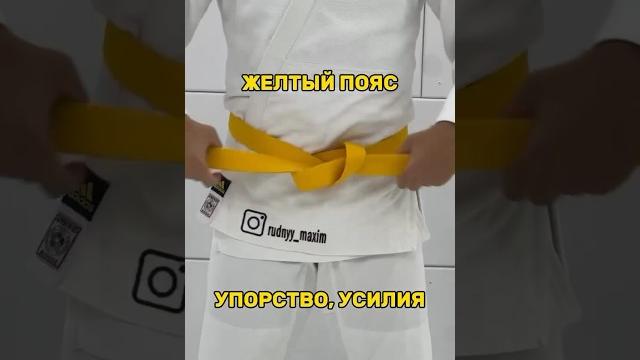 Какой пояс у тебя!? #школаносова #дзюдо #дзюдодети #самбо #самбодети #спорт #борец #борьба Какой пояс у тебя!? #школаносова #дзюдо #дзюдодети #самбо #самбодети #спорт #борец #борьба