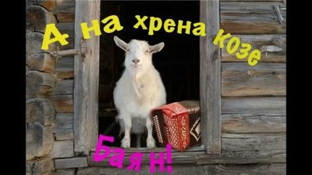 На фига козе баян На фига козе баян