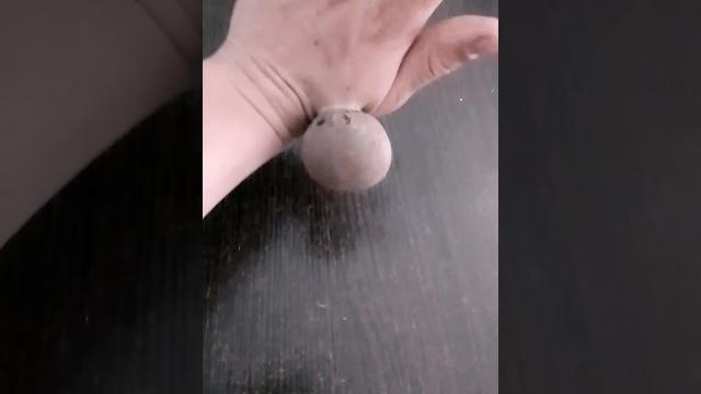 Огромный клещ #tiktok Огромный клещ #tiktok
