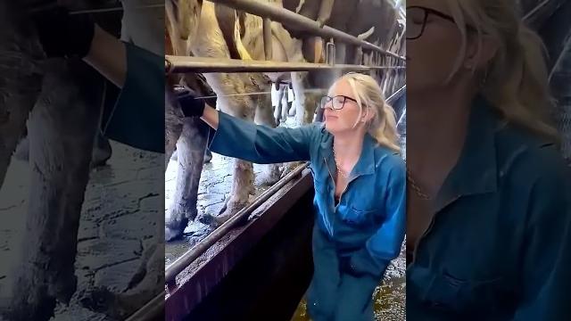 Women Fails ️ Women Fails ️