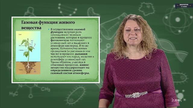 Биология - 11 класс - Биосфера. Ноосфера Биология - 11 класс - Биосфера. Ноосфера