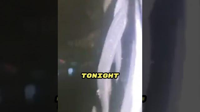 Он показал зачем учиться на электрика ️ Он показал зачем учиться на электрика ️