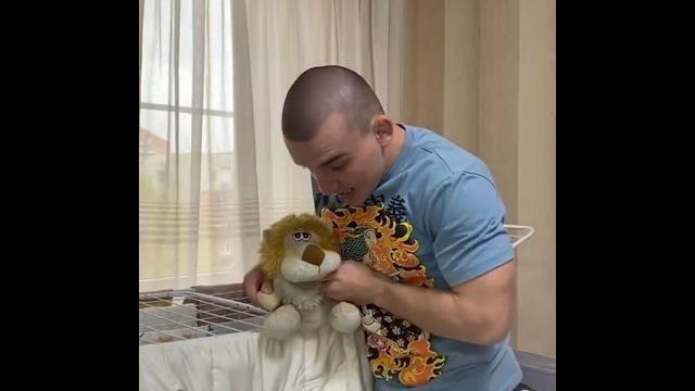 ВОСПИТАНИЕ КОТА ВОСПИТАНИЕ КОТА