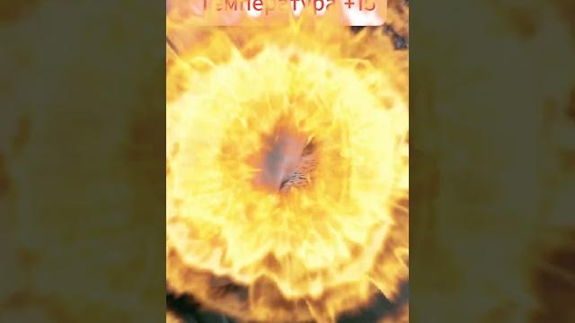 Температура #смешныевидео #мемы #ёжики Температура #смешныевидео #мемы #ёжики