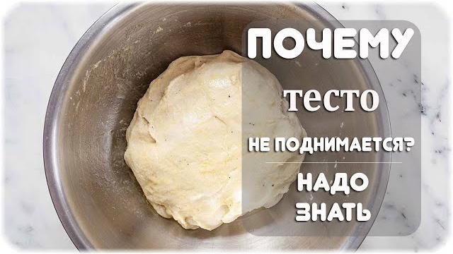 Почему не поднимается тесто на сухих дрожжах? Почему не поднимается тесто на сухих дрожжах?