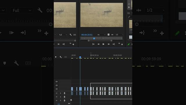 Remove or Delete gaps on timeline in Adobe Premiere Pro #videoeditingtips #adobepremierepro Remove or Delete gaps on timeline in Adobe Premiere Pro #videoeditingtips #adobepremierepro