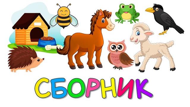Учим животных Сборник Монтессори Угадай Домики Как говорят Животные Развивающие мультики для детей Учим животных Сборник Монтессори Угадай Домики Как говорят Животные Развивающие мультики для детей