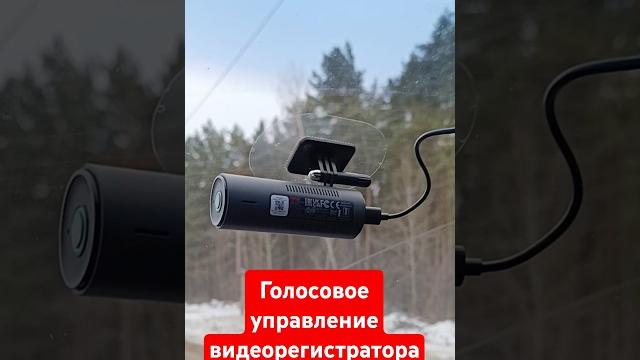 Голосовое управление видеорегистратора 70mai M310 #70mai #аккумуляторщик #видеорегистратор Голосовое управление видеорегистратора 70mai M310 #70mai #аккумуляторщик #видеорегистратор