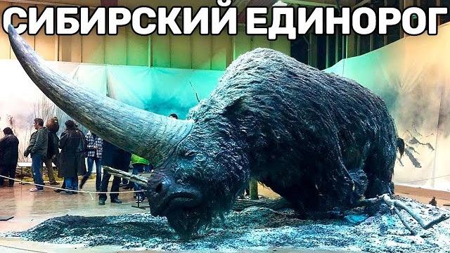 10 Вымерших Животных, Которых Воскресят в Скором Времени 10 Вымерших Животных, Которых Воскресят в Скором Времени