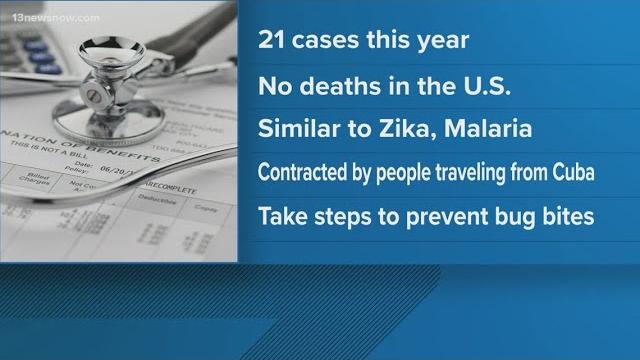 CDC monitors Oropouche virus CDC monitors Oropouche virus