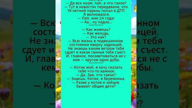 Подборка забавных анекдотов.#анекдоты #смешныевидео Подборка забавных анекдотов.#анекдоты #смешныевидео
