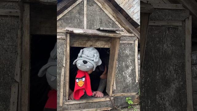 Шапка МЕЛКОГО (смешное видео, видео, приколы, поржать) Шапка МЕЛКОГО (смешное видео, видео, приколы, поржать)